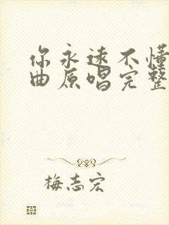 你永远不懂我歌曲原唱完整版歌词