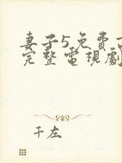 妻子5免费高清完整电视剧情年轻母亲