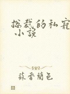 总裁的私宠甜妻 小说