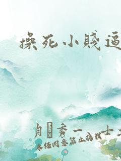 操死小贱逼
