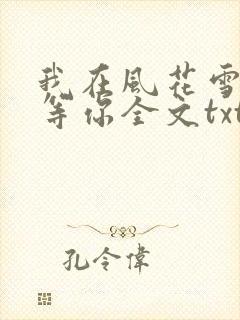 我在风花雪月里等你全文txt下载