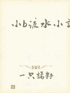 小b流水小说