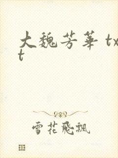 大魏芳华 txt