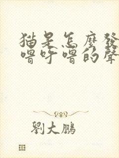 猫是怎么发出呼噜呼噜的声音