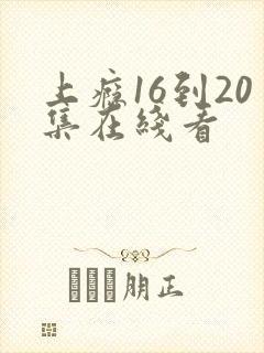 上瘾16到20集在线看