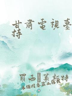 甘肃电视台女主持