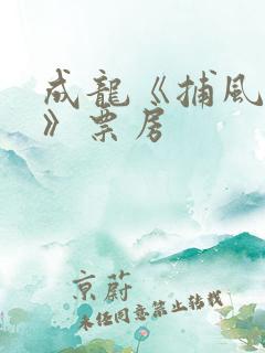 成龙《捕风追影》票房