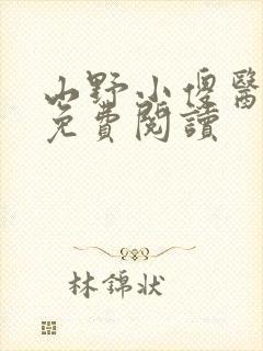 山野小傻医全文免费阅读