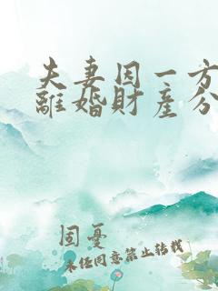 夫妻因一方出轨离婚财产分割