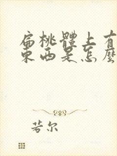 扁桃体上有白色东西是怎么回事