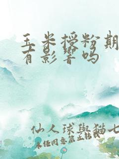 玉米授粉期下雨有影响吗
