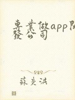 专业做app开发公司