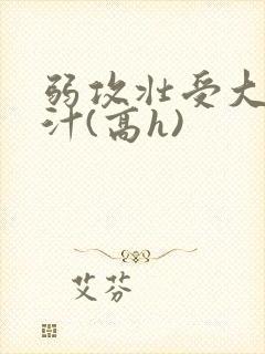 弱攻壮受大胸奶汁(高h)