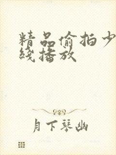精品偷拍少妇在线播放