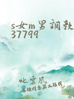 s女m男调教337799
