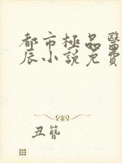 都市极品医神叶辰小说免费阅读