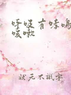 呼吸有哮鸣音 咳嗽