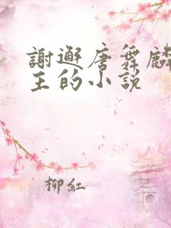 谢邂唐舞麟双男主的小说