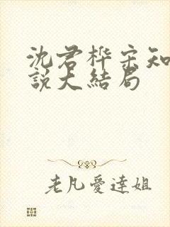 沈君桦宋知慧小说大结局