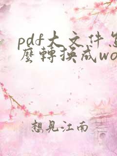 pdf大文件怎么转换成word