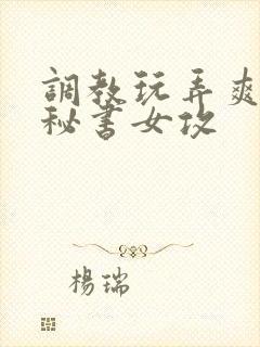 调教玩弄爽哭男秘书女攻
