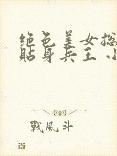 绝色美女总裁的贴身兵王 小说