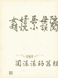 女婿岳母陈超,赵悦小说阅读