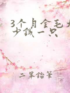 3个月金毛犬多少钱一只