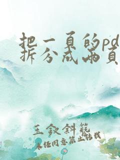 把一页的pdf拆分成两页