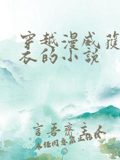 穿越漫威获得圣衣的小说