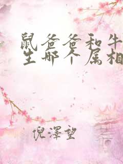 鼠爸爸和牛妈妈生哪个属相宝宝