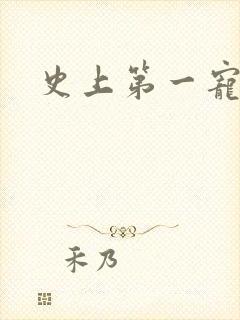 史上第一宠婚
