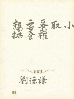 想要争取小孩的抚养权
