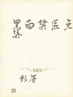 黑白禁区免费全集