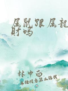 属鼠跟属龙的合财吗