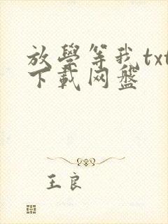 放学等我txt下载网盘