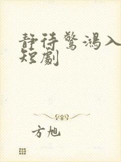 静待惊鸿入瓮慌短剧