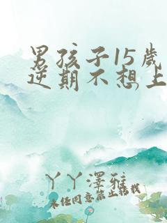 男孩子15岁叛逆期不想上学怎么办