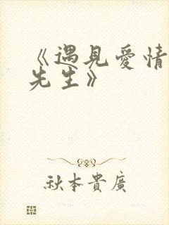 《遇见爱情的利先生》