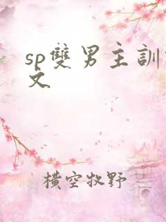 sp双男主训诫文
