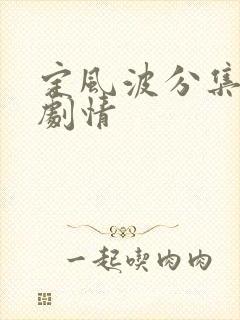 定风波分集介绍剧情