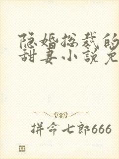 隐婚总裁的绯闻甜妻小说免费阅读