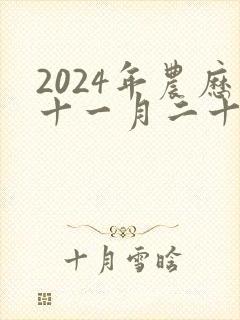 2024年农历十一月二十六日出生命运