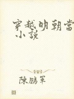 穿越明朝当暴君 小说