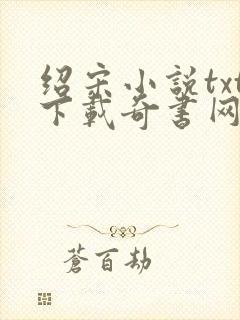 绍宋小说txt下载奇书网