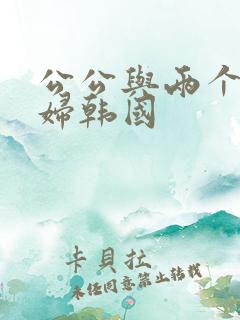 公公与两个儿媳妇韩国