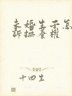未婚生子怎么起诉抚养权
