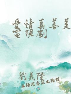爱情真善美全集电视剧