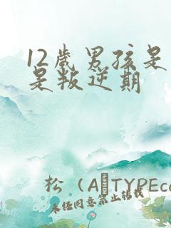 12岁男孩是不是叛逆期