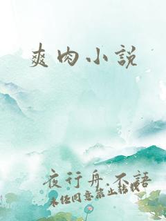 爽肉小说